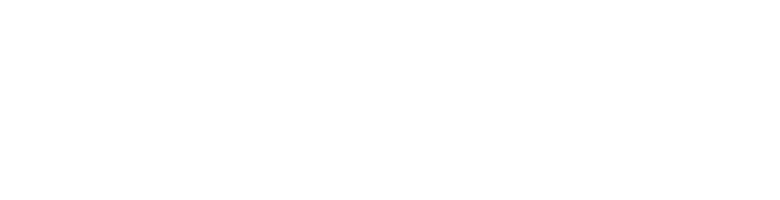 Enjoy Learning Co. — aprender es divertido